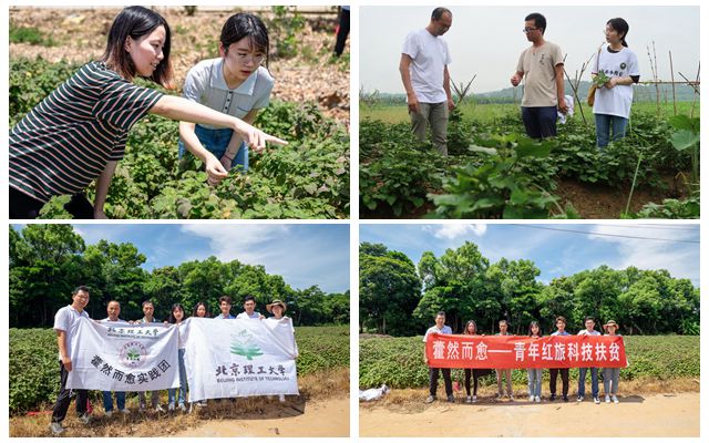 澳门威尼斯人网址